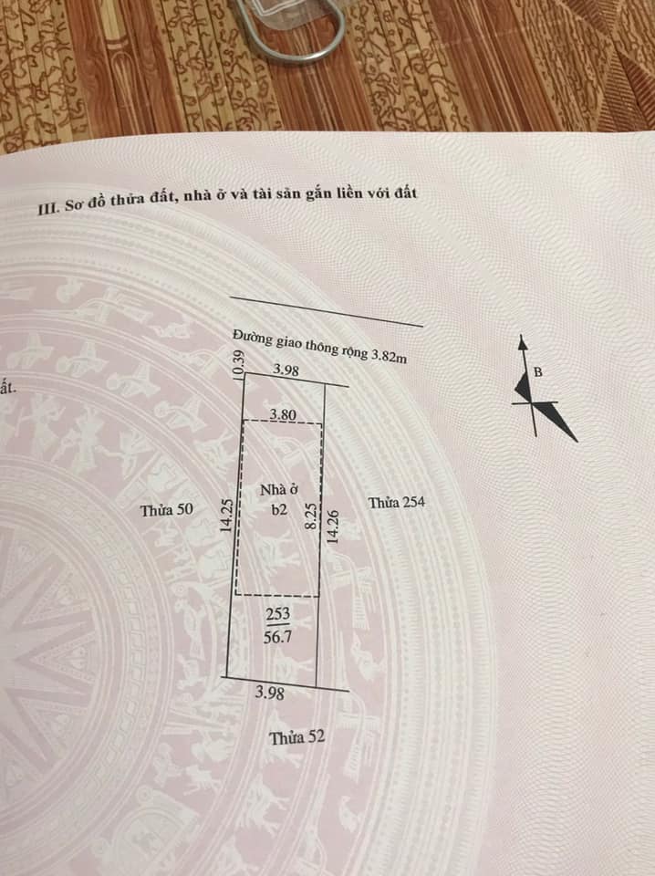 181694505_921854941693713_1702179922028307431_n